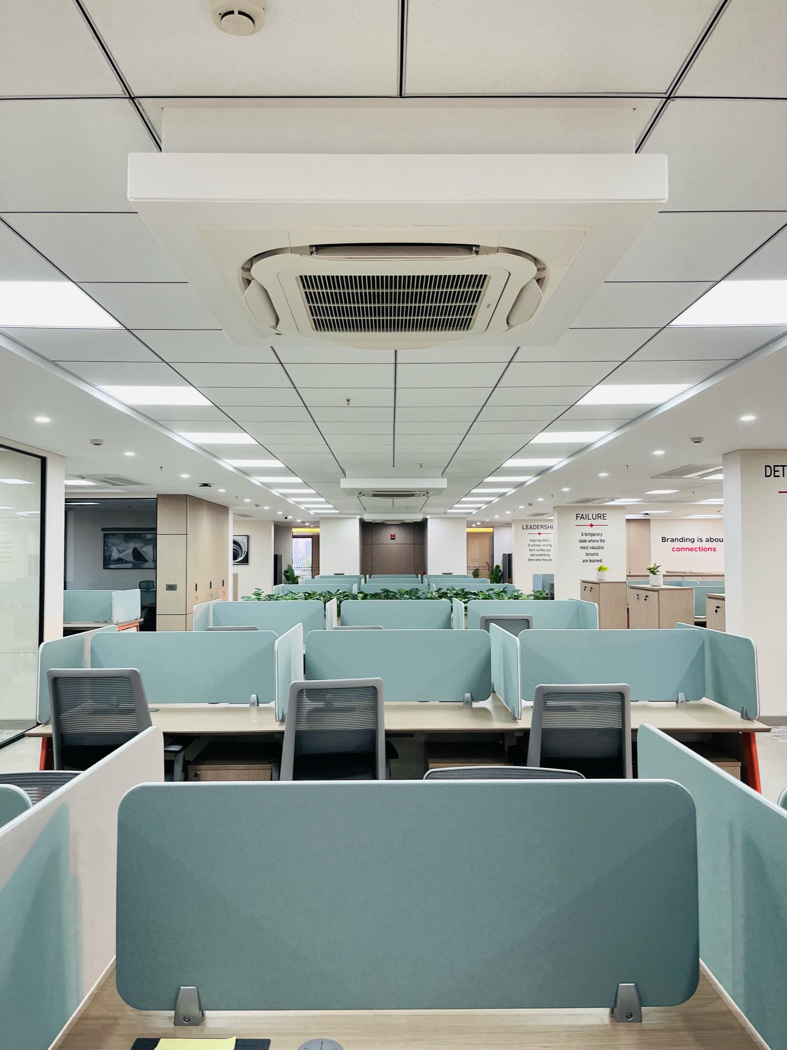 Open-plan workstation floor with teal privacy screens